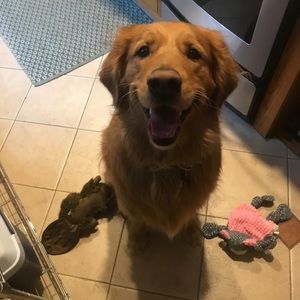 Meet your Posher, Tamara